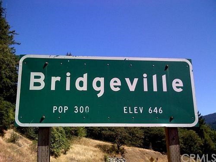Californian Town of Bridgeville For Sale 1